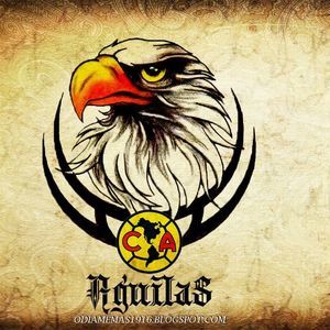 Meet your Posher, Andy